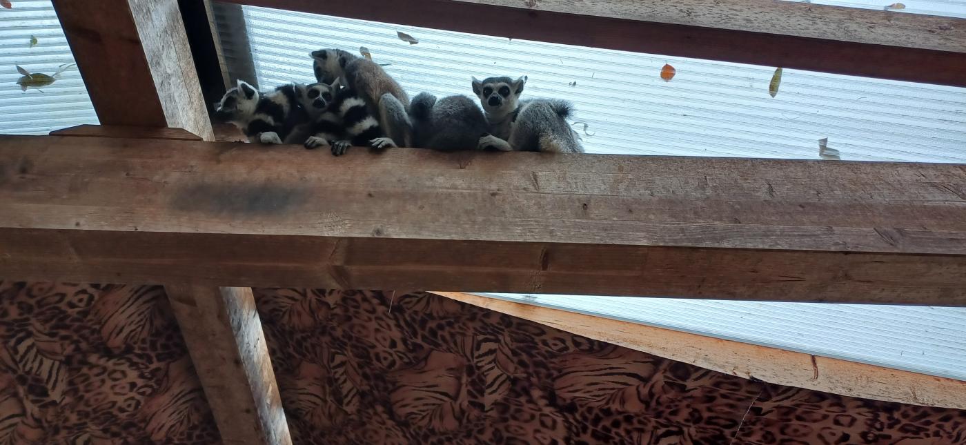 Raritätenzoo Raritätenzoo