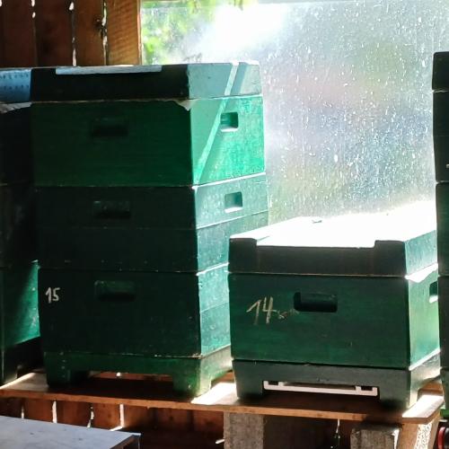 Bienen