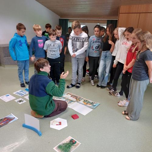 Workshop