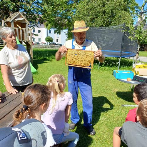 Bienen