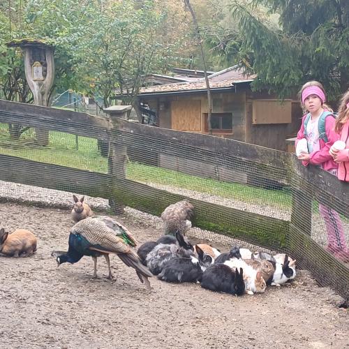 Raritätenzoo
