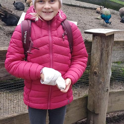Raritätenzoo