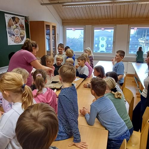 Ortsbäurinnen