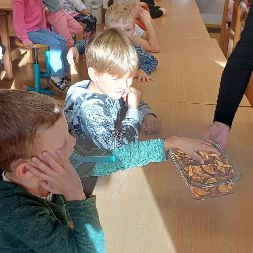 Ortsbäurinnen