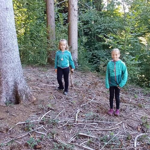 Waldtag