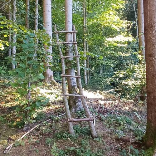 Waldtag