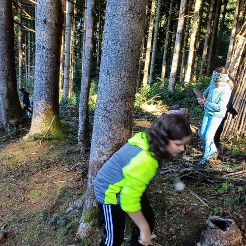 Waldtag