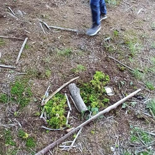 Waldtag