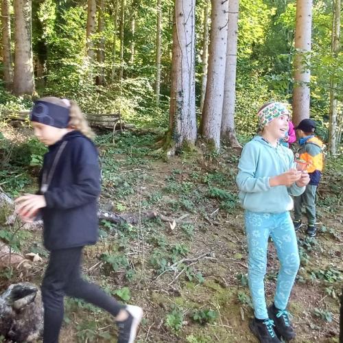 Waldtag