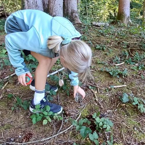 Waldtag