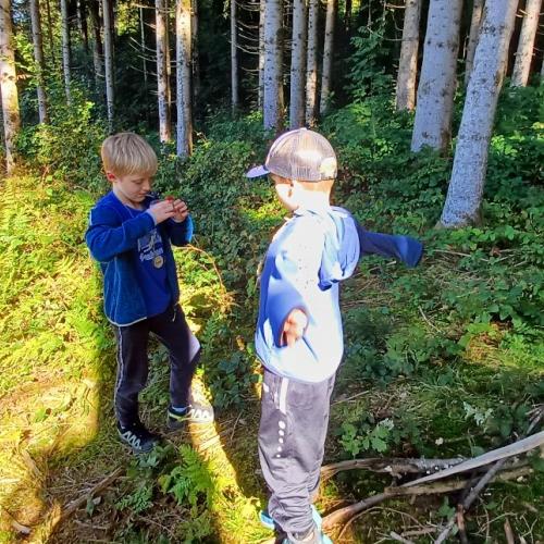 Waldtag