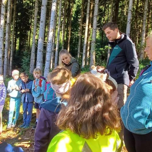 Waldtag