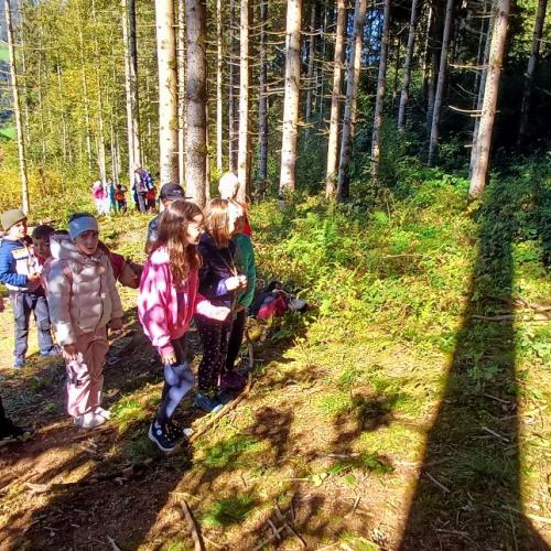Waldtag