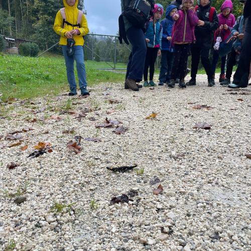 Wandertag der Mst 2