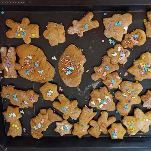 FreiDay ein Tag voller begeisterung