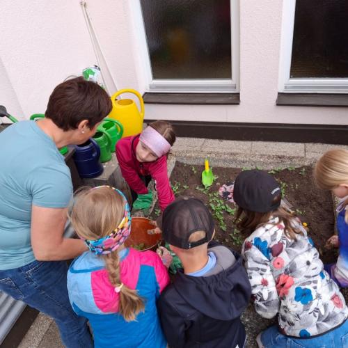Garten